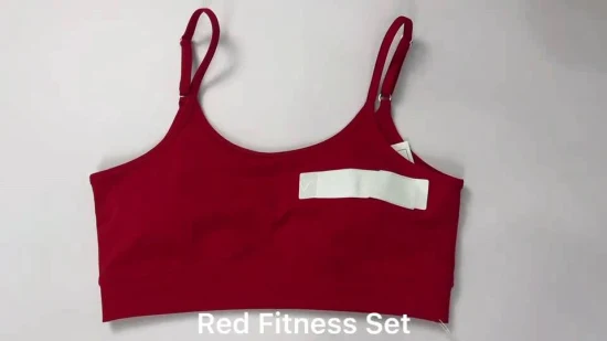 Roupas esportivas femininas roupas esportivas para ioga 2 peças roupas para treino conjunto de sutiã e shorts esportivos conjuntos de ginástica